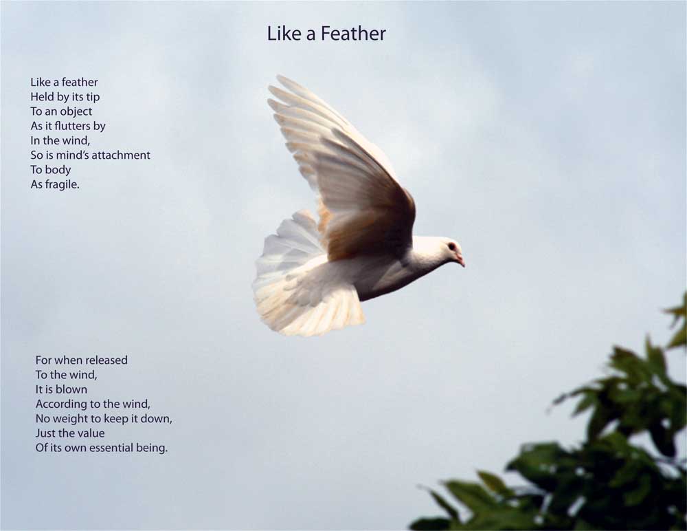like a feather